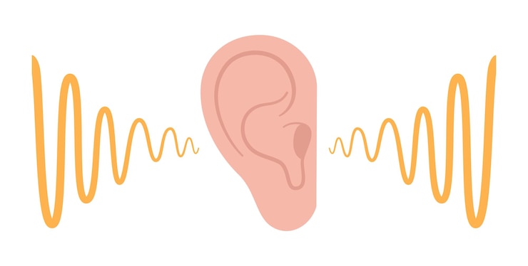Vetor ícone de audição humana