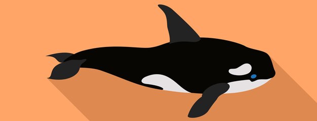 Vetor Ícone de baleia orca ilustração plana do ícone vetorial de baleia orca para web design