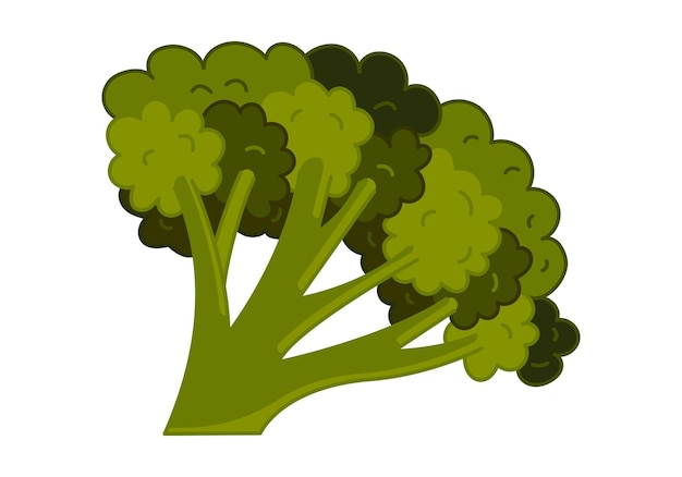 Ícone de brócolis em um estilo desenhado à mão plana isolado em uma ilustração vetorial de fundo branco