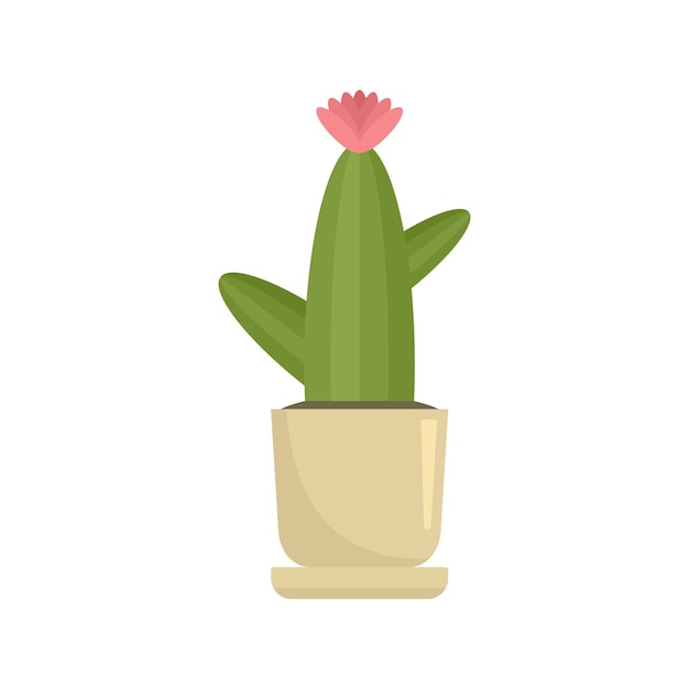 Vetor Ícone de cacto de flor de escritório ilustração plana do ícone vetor de cacto de flor de escritório para web design