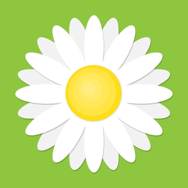 Vetor ícone de camomila margarida branca. ilustração vetorial flor bonita em estilo simples.