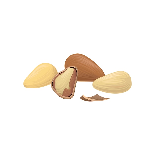 Ícone de castanhas maduras Alimentos orgânicos e saudáveis Lanche delicioso Produto vegetariano Ingrediente culinário Desenho desenhado à mão dos desenhos animados Ilustração vetorial detalhada