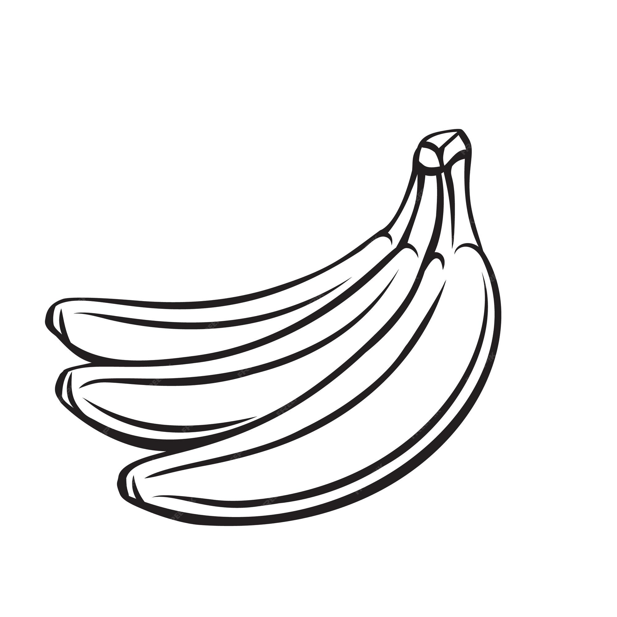 Desenho De Banana Fruta Isolada Página Para Colorir Crianças Ilustração  Vegetariano Vetor PNG , Desenho De Banana, Desenho De Frutas, Desenho De  Asa Imagem PNG e Vetor Para Download Gratuito