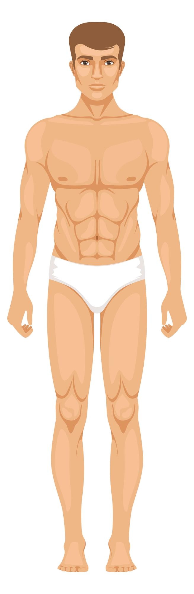 Vetor ícone de corpo de homem figura masculina em vista frontal de cueca