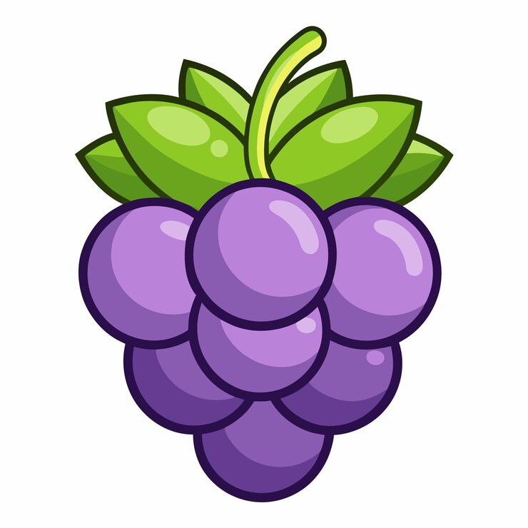 Vetor ícone de desenho animado de uva ilustração de desenho gráfico plano