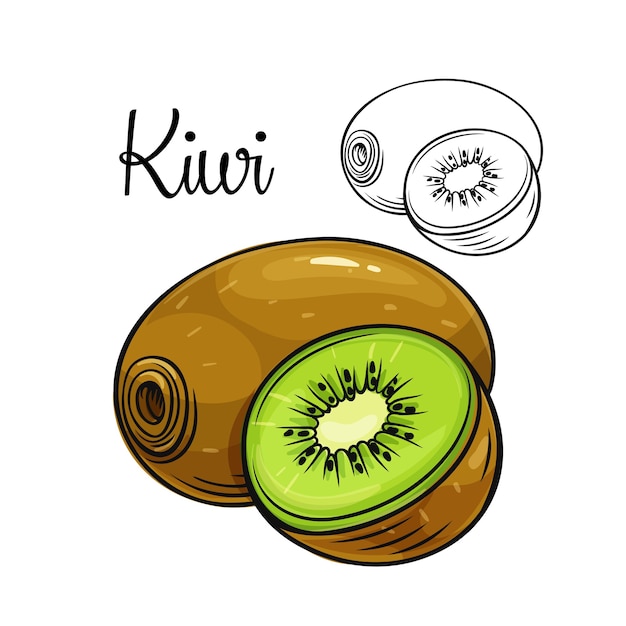 Desenho de kiwi pintado e colorido por Usuário não registrado o dia 27 de  Março do 2021