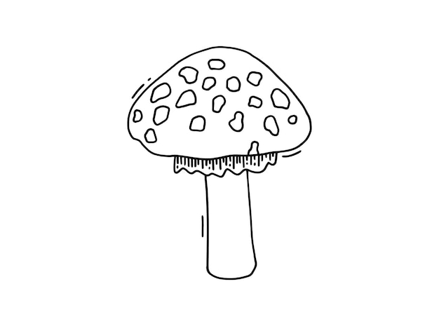 Vetor Ícone de doodle flyagaric desenhado à mão cogumelo amanita cogumelo venenoso mosca agaric doodle desenhado à mão