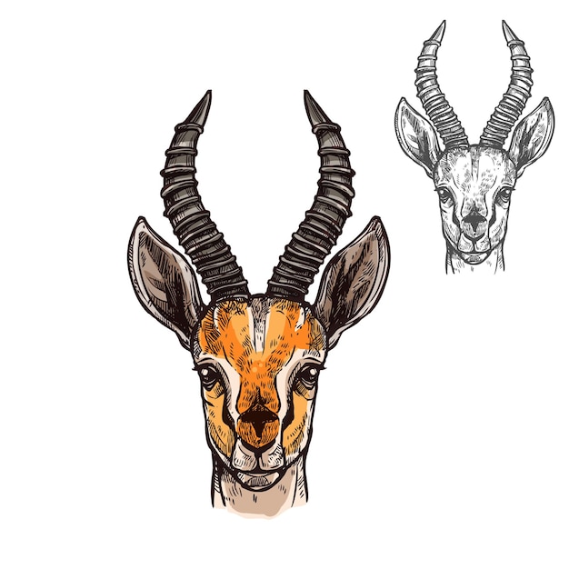 Ícone de esboço de vetor de antílope de animal selvagem africano