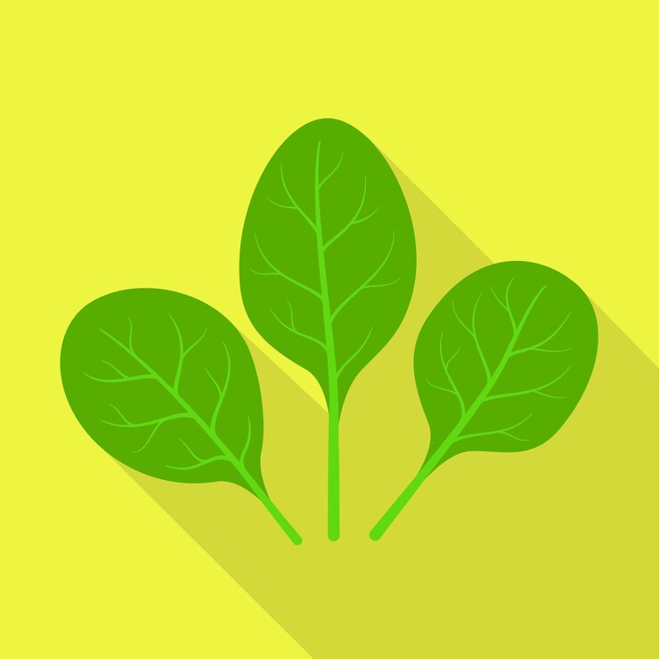 Vetor ícone de espinafre ilustração plana do ícone vetor de espinafre para web design