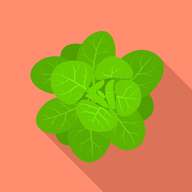 Vetor Ícone de espinafre verde ilustração plana do ícone vetor de espinafre verde para web design
