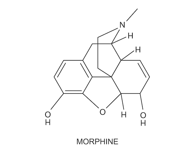 Ícone de estrutura molecular química da morfina fórmula médica de drogas opióides