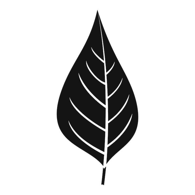 Vetor ícone de folha de maçã ilustração simples do ícone vetorial de folha da maçã para a web