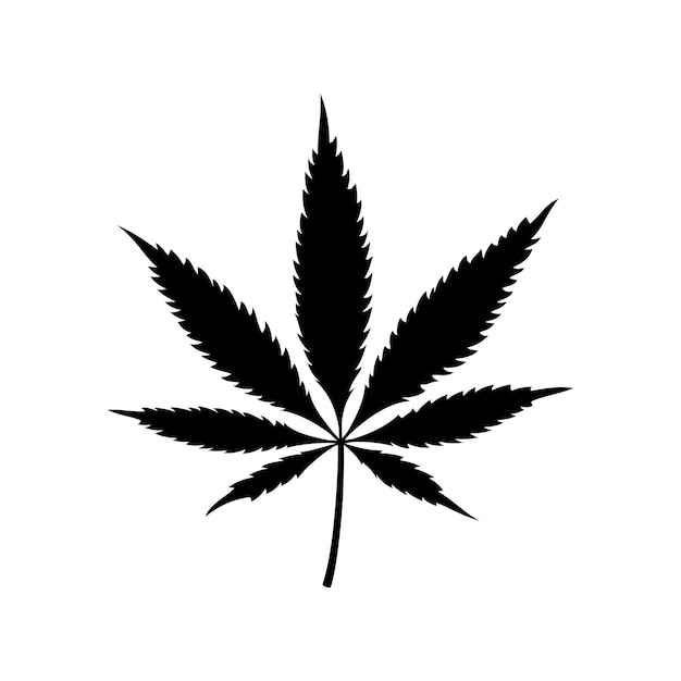 Ícone de folha de maconha isolado no fundo branco símbolo de planta de cannabis medicinal herbal indica sativa cânhamo natural vício fumo drogas de erva daninha ilustração em vetor narcótico ilegal