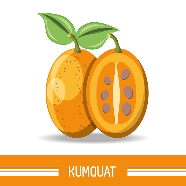 Ícone de fruta kumquat