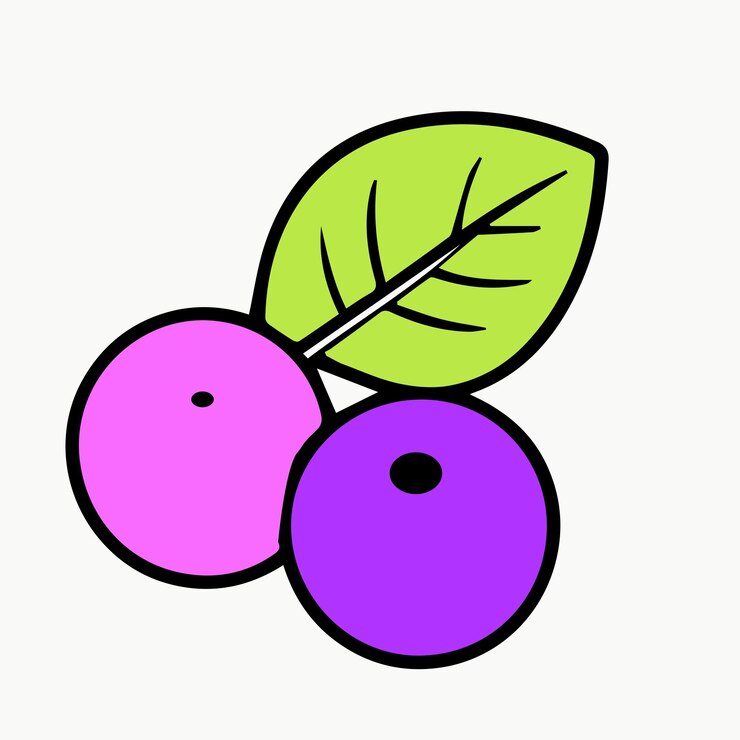 Vetor ícone de ilustração de cor de linha de frutas vetorial