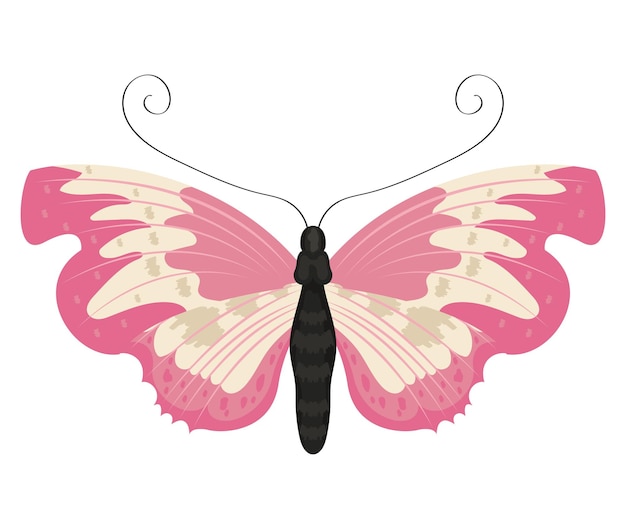 Vetor Ícone de inseto borboleta rosa beleza