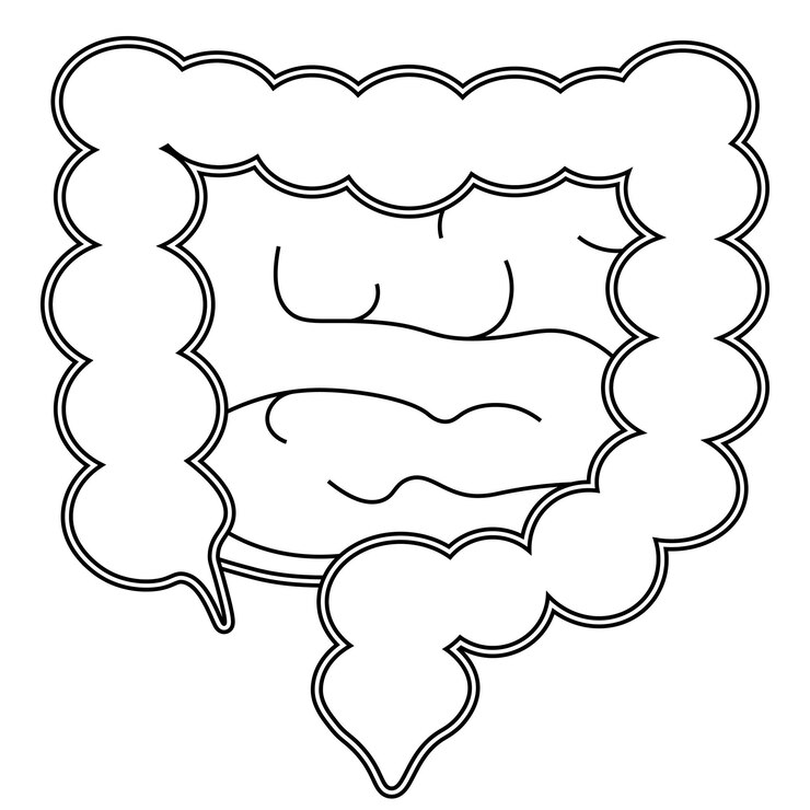 Ícone de intestinos em estilo plano moderno Símbolo para a interface do usuário do aplicativo de logotipo de design do seu site