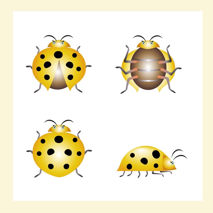 Vetor ícone de joaninha amarelo bonito atraente para seu mascote ou design complementar