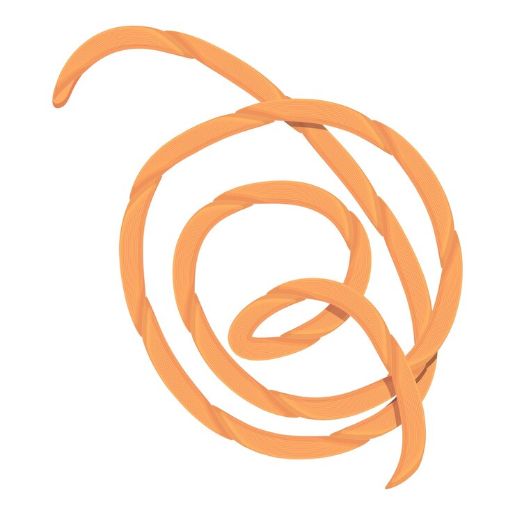Vetor ícone de laço de cavalo desenho animado de ícone vetor de laço de cavalo para web design isolado em fundo branco