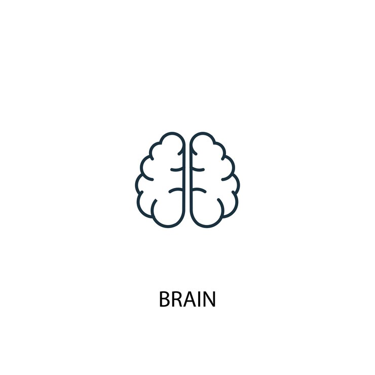 Vetor ícone de linha de conceito do cérebro. ilustração de elemento simples. cérebro conceito esboço símbolo design. pode ser usado para ui / ux da web e móvel
