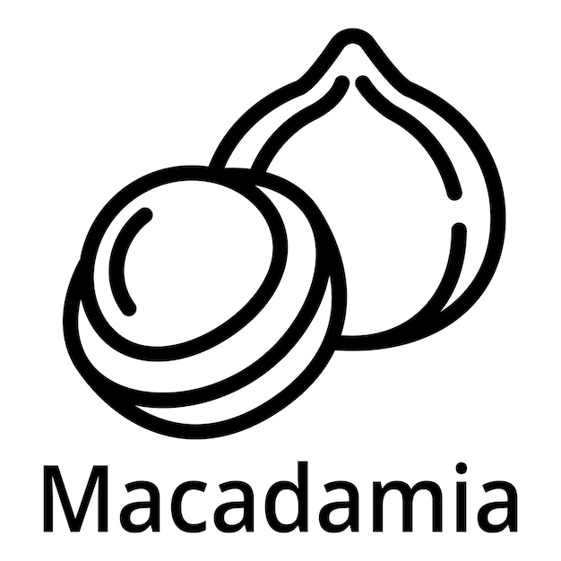 Vetor Ícone de macadâmia esboço ícone vetor de macadâmia para web design isolado em fundo branco