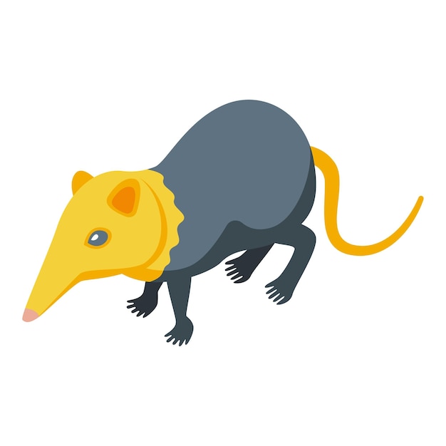 Vetor Ícone de musaranho de cabeça amarela vetor isométrico animal africano rato mamífero