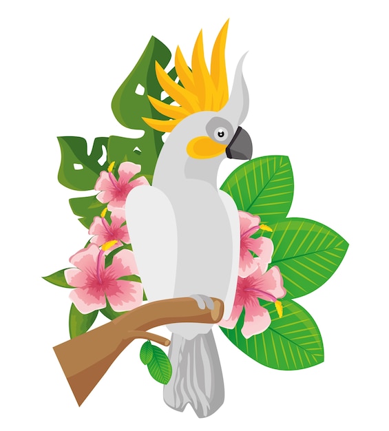 Ícone de pássaro tropical Parrot