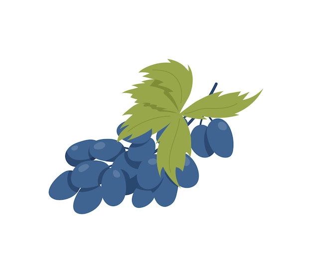 Vetor Ícone de ramo de uva