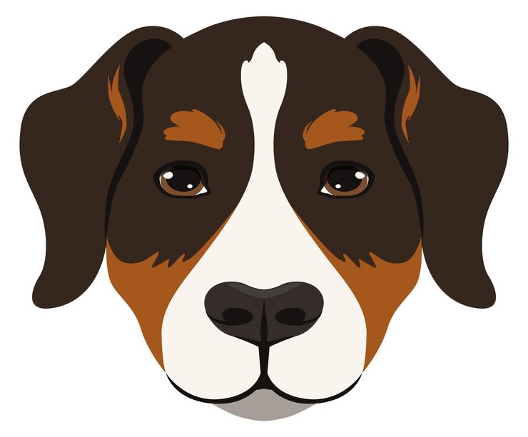 Vetor ícone de rosto de sennenhund cabeça de cão de montanha suíço