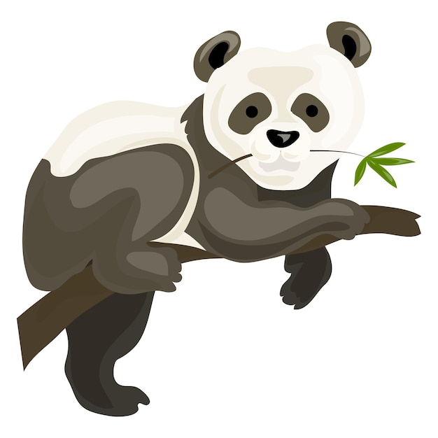 Ícone de urso panda desenho animado de ícone vetorial de urso panda para web design isolado em fundo branco