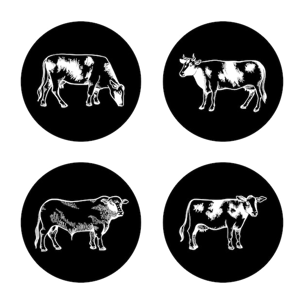 Ícone de vaca e touro definir ícones lineares brancos em preto para embalagem de produtos lácteos e carnes leite e carne bovina