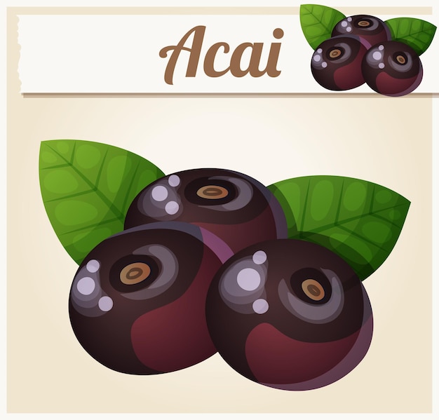 Ícone de vetor de desenhos animados de ilustração de bagas de açaí