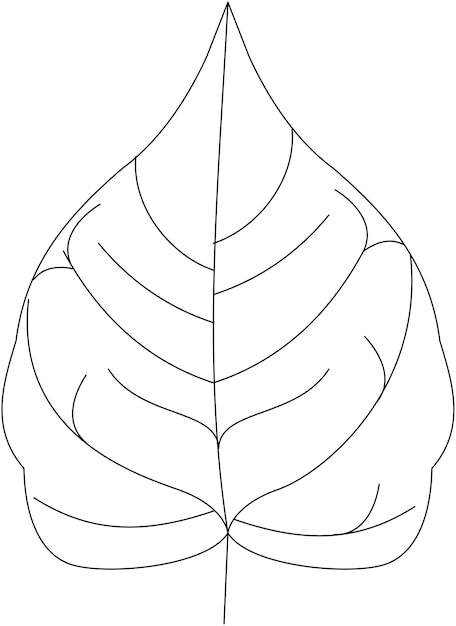 Ícone de vetor de folha de figueira-da-índia preto e branco