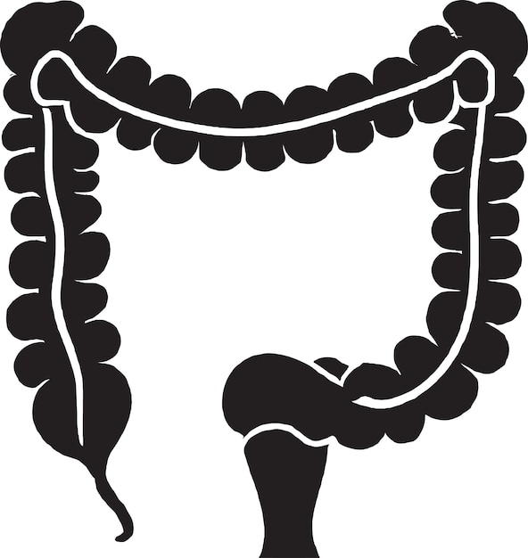 Vetor Ícone de vetor de ilustração de intestino humano grande e delgado