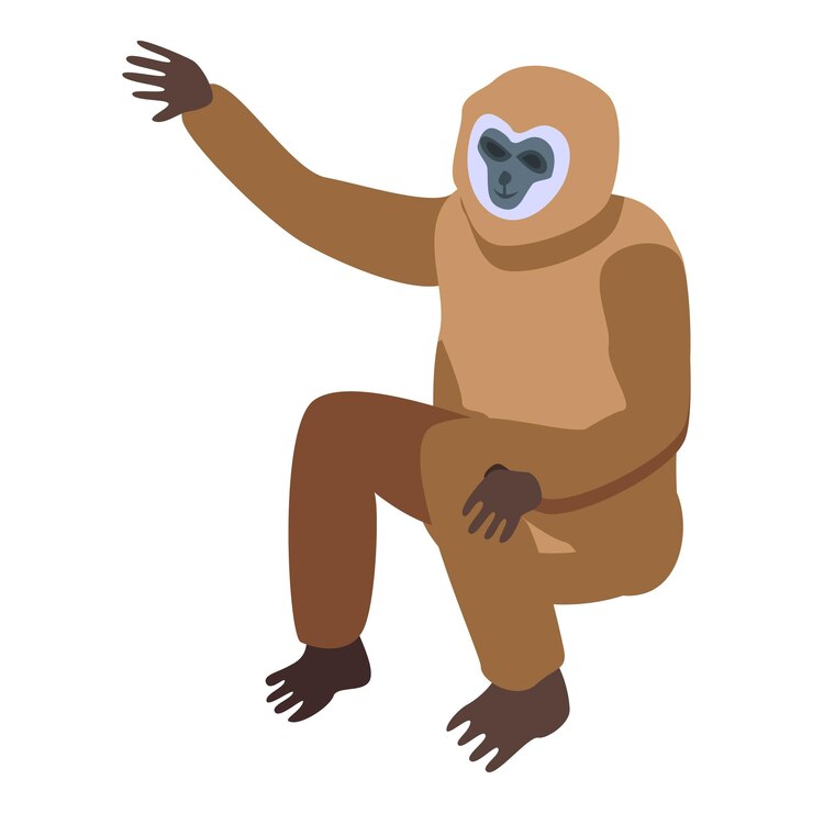 Vetor ícone do zoológico de gibão isométrico do ícone vetorial do zoológico de gibão para web design isolado em fundo branco
