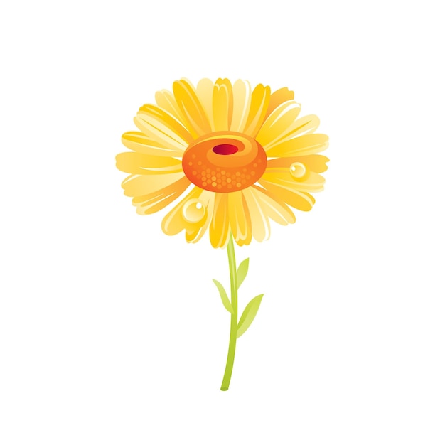 Ícone floral da flor da margarida Desenhos animados realistas bonito planta flor primavera verão jardim símbolo Ilustração vetorial para design de decoração de impressão de camiseta de cartão de saudação Isolado no fundo branco