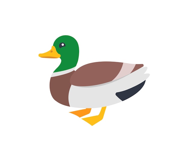 Ícone isolado de vetor de pato. ilustração de emojis. emoticon de vetor de pato