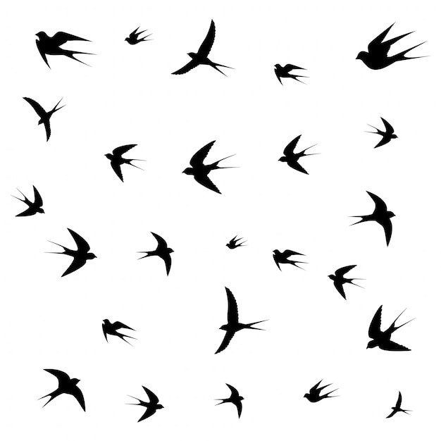 Ícones de aves