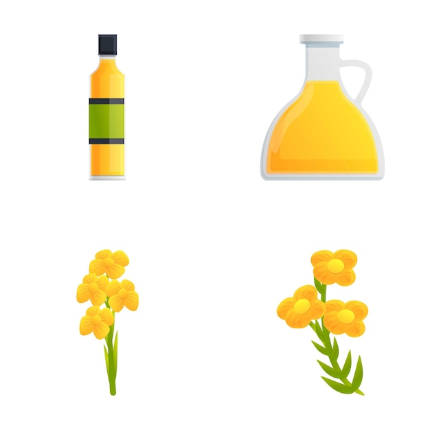 Ícones de canola set vetor de desenho animado óleo de colza e flor