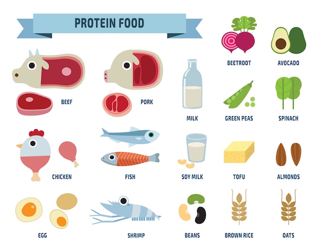 Ícones de comida de proteína isolados no branco