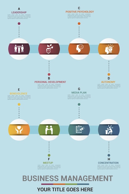 Ícones de modelo de gerenciamento de negócios infográfico em diferentes