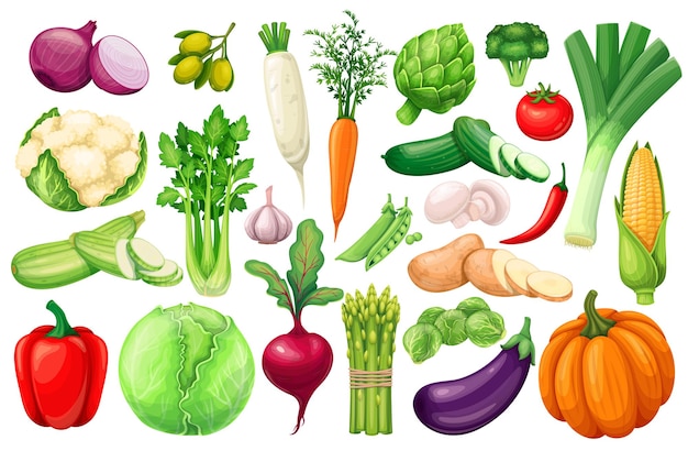 Vetor Ícones de vegetais definidos no estilo cartoon. produto agrícola de alcachofra, alho-poró, milho, alho, pepino, pimenta, cebola, aipo, aspargo, repolho