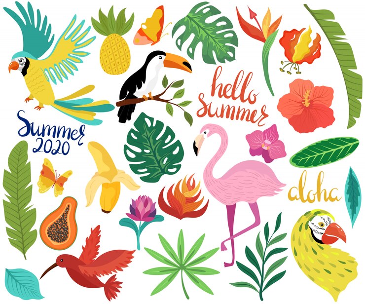 Vetor ícones de verão com pássaros tropicais e flores exóticas vector a ilustração