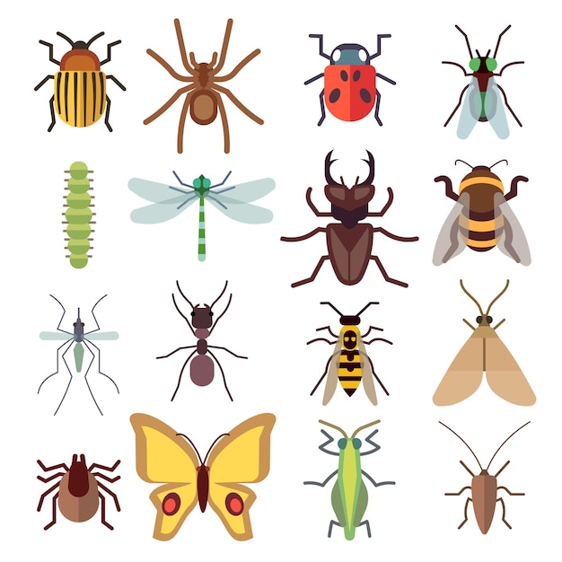 Ícones planas de insetos isolados no fundo branco. Bug e mosquito, mosca e aranha. Vector illustratio