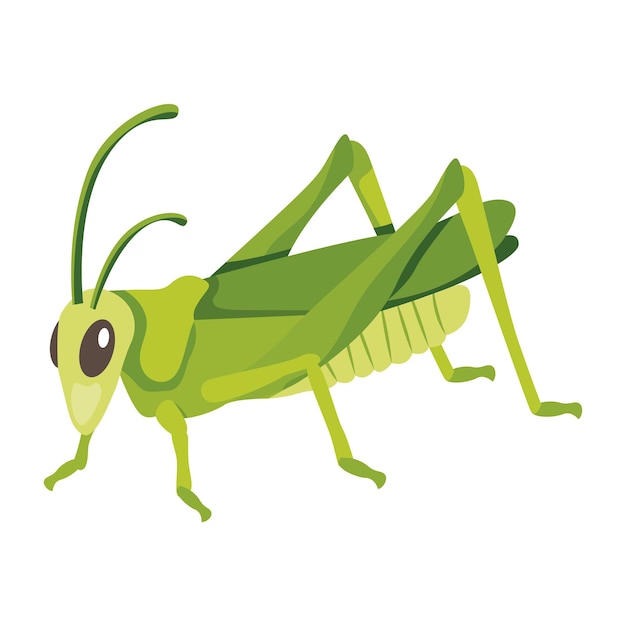 Ícones planos de Mantis de Oração