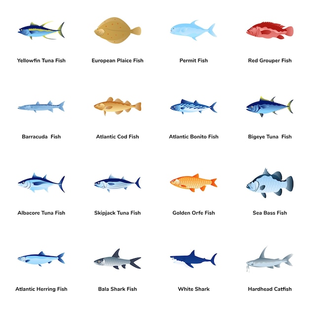 Ícones planos de tipos de peixes