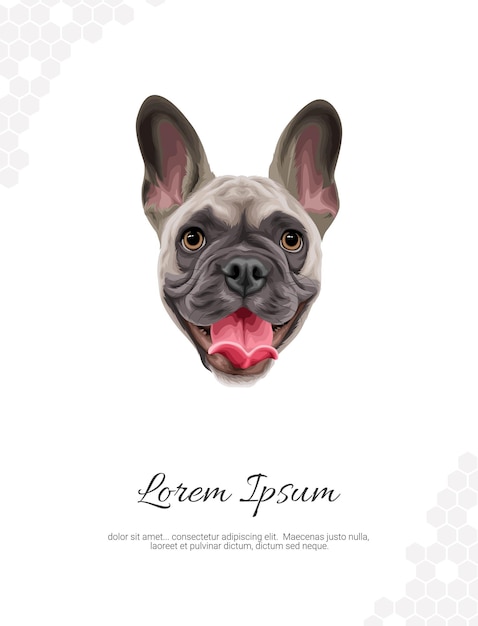 Ideias de decoração de parede de Bulldog Francês