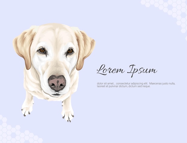 Ideias de decoração de parede de Labrador Retriever vetor