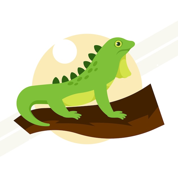 Iguana verde no ramo