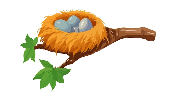 Vetor ilustra??o de quatro ovos em ninho de p?ssaro